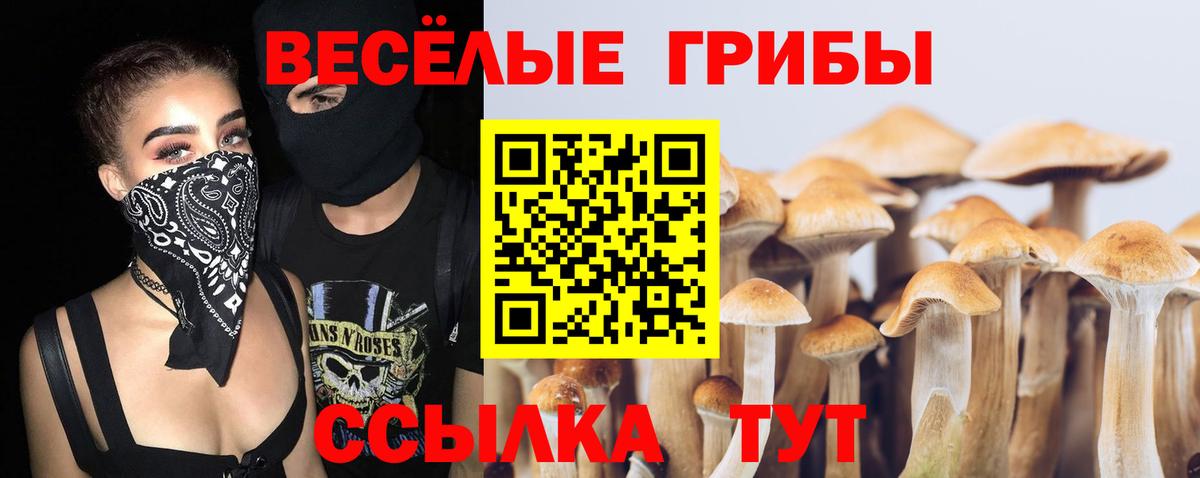 Галлюциногенные грибы ЛСД  Вход с VPN  Тамбов  Галлюциногенные грибы прущие грибы 
